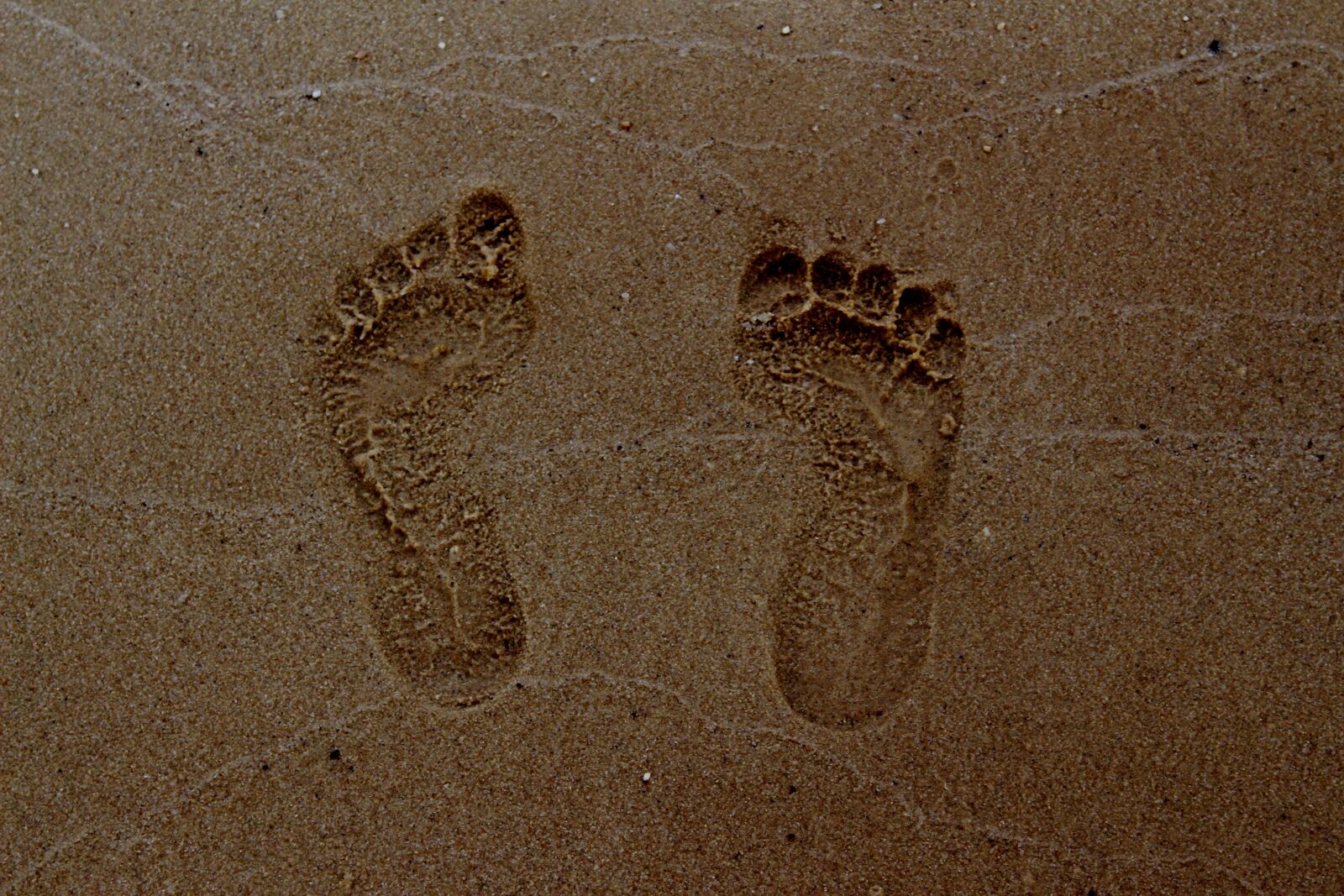 Canon EOS 650D (EOS Rebel T4i / EOS Kiss X6i) sample photo. Footprint, summer, sea photography