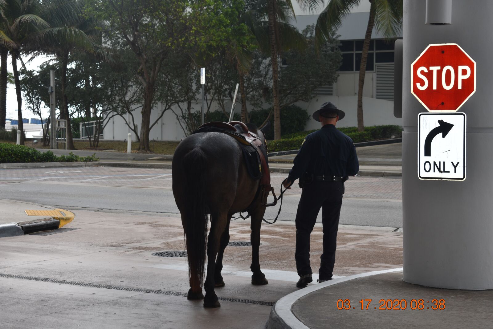 Nikon D3400 sample photo. City, police, horse photography
