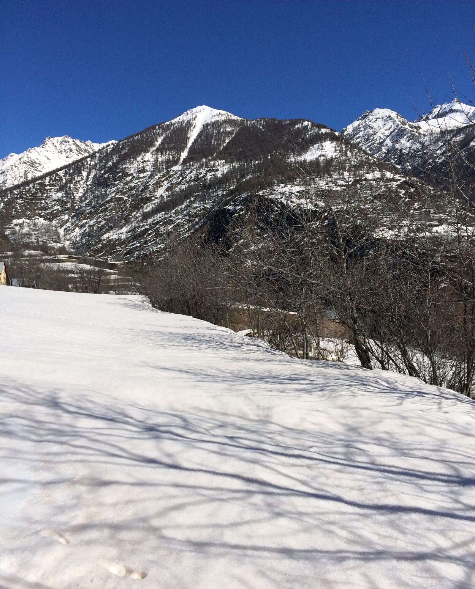 iPhone 5s back camera 4.12mm f/2.2 sample photo. Snow, nature, good looking photography