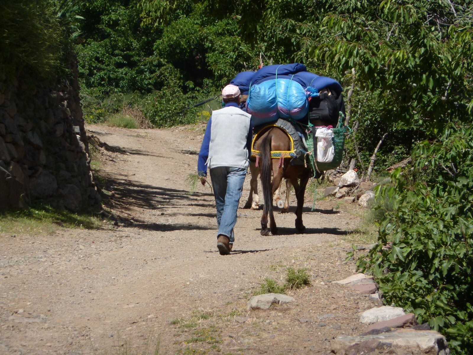 Panasonic Lumix DMC-ZS1 (Lumix DMC-TZ6) sample photo. Mule, muleteer, road photography