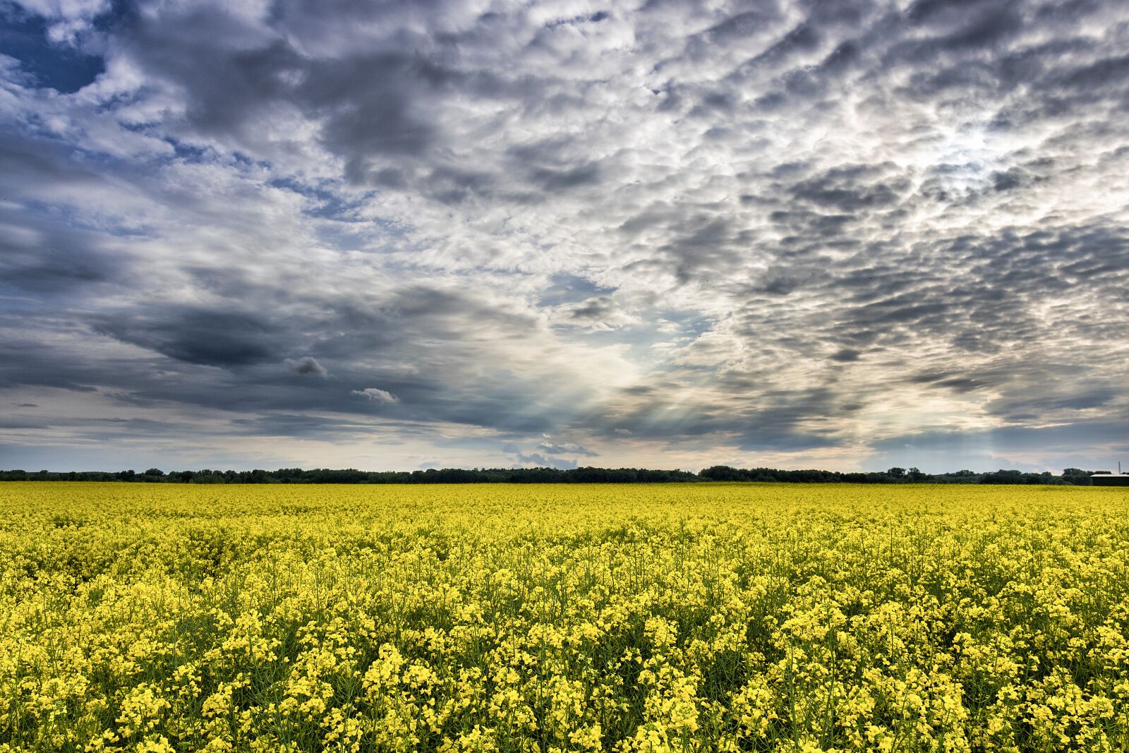 Canon EOS 750D (EOS Rebel T6i / EOS Kiss X8i) sample photo. Clouds, countryside, daylight photography