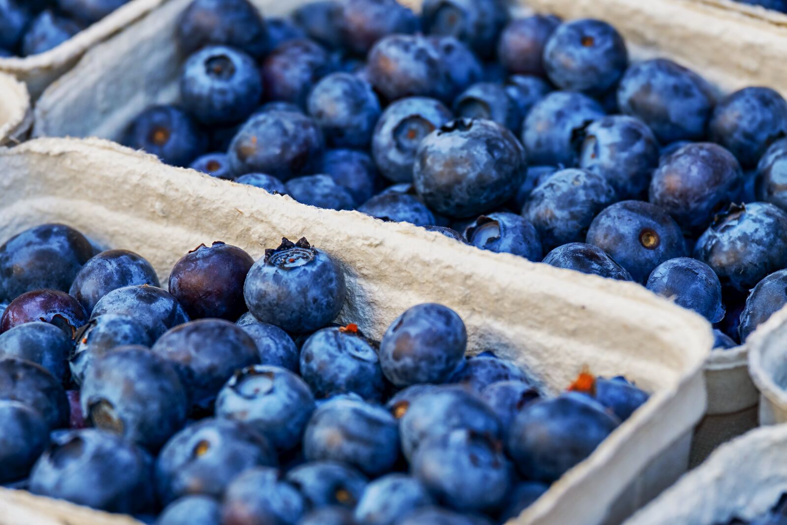 Fujifilm XF 55-200mm F3.5-4.8 R LM OIS sample photo. Blueberries, berries, fruit photography