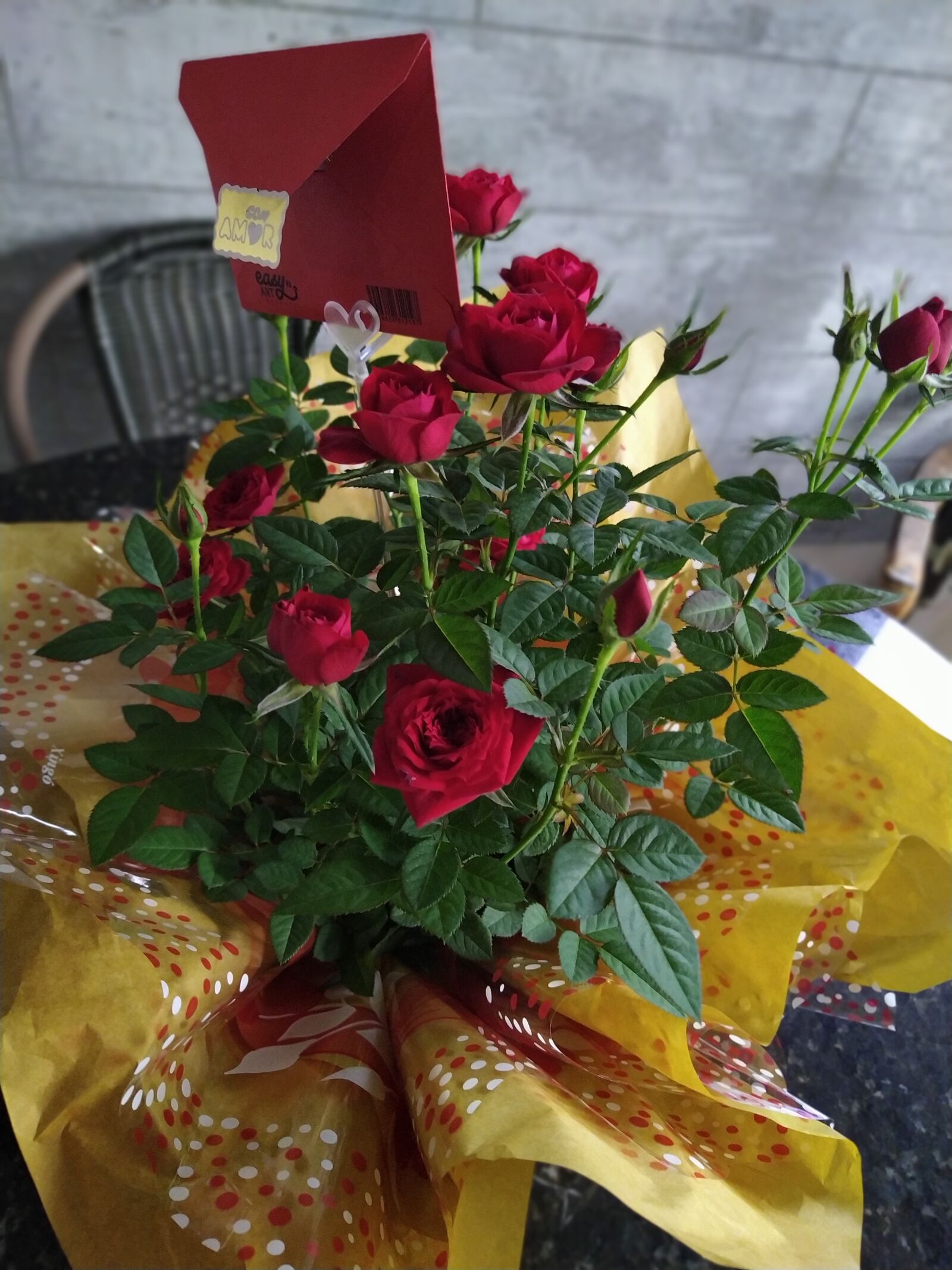 Xiaomi Redmi Note 7 sample photo. Rosa, present, romantic photography