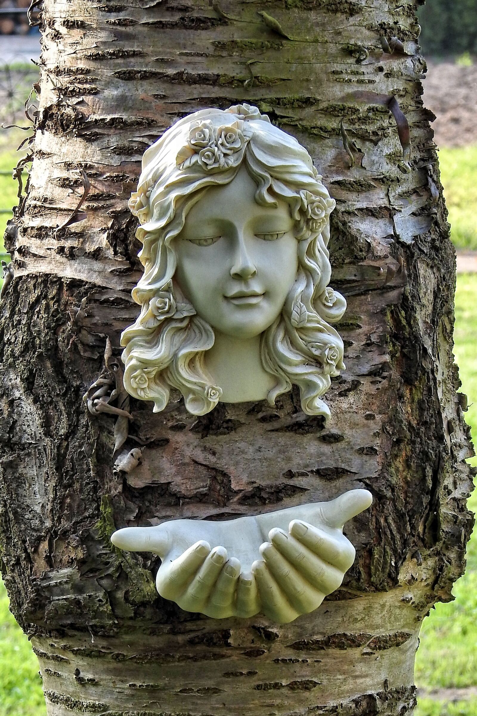 Nikon Coolpix P900 sample photo. Tree, bird bath, figure photography