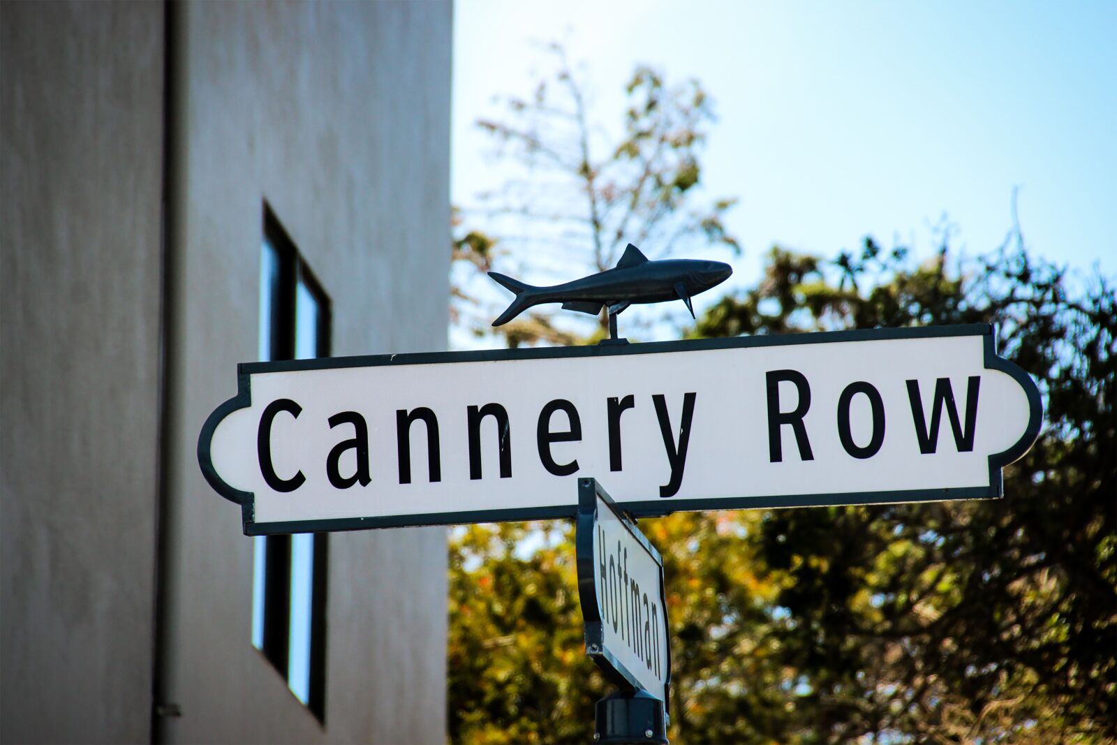 Canon EOS 600D (Rebel EOS T3i / EOS Kiss X5) sample photo. Cannery row, monterey, california photography