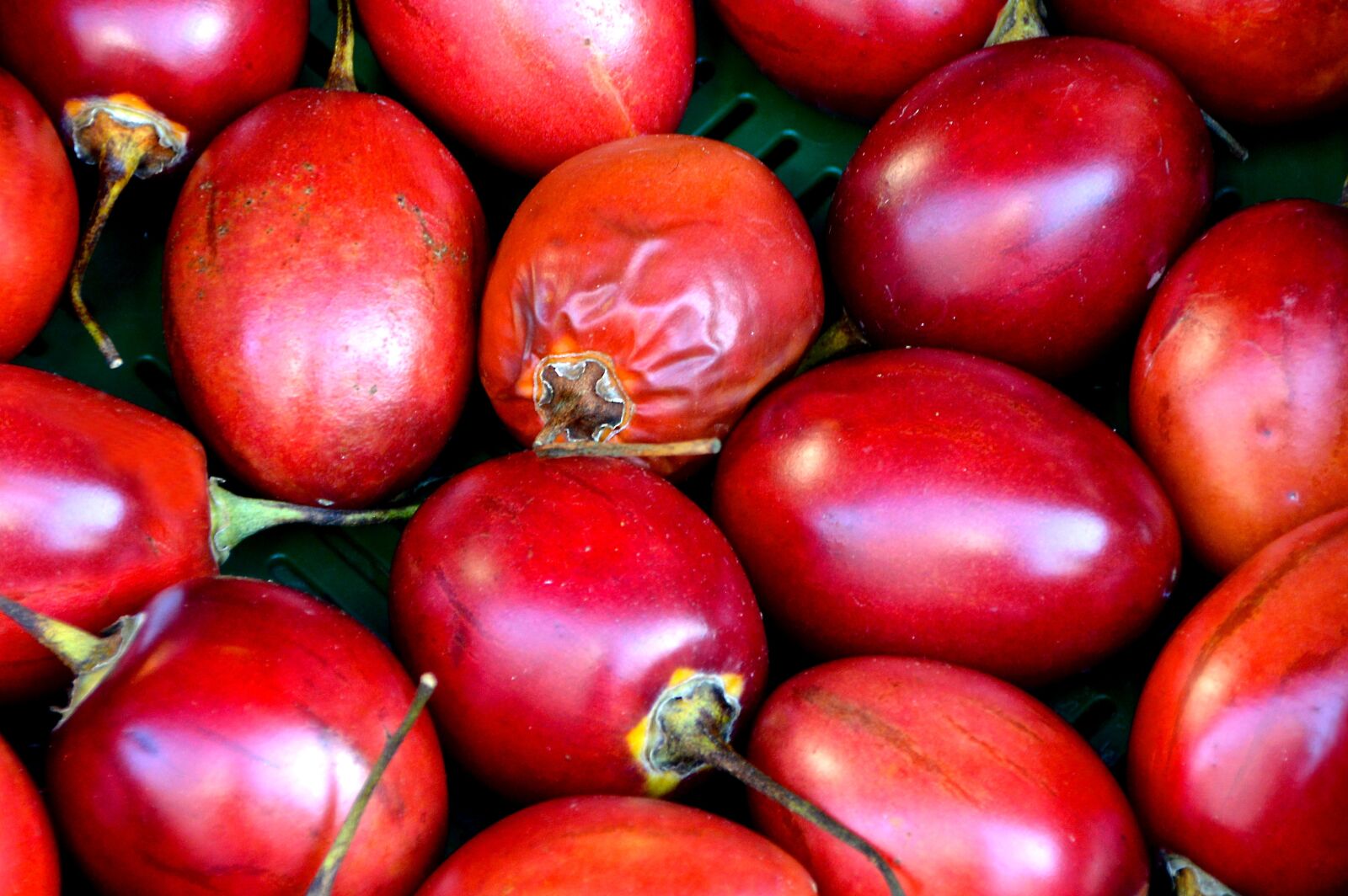 Nikon D3200 sample photo. Exotic, tropical fruit, left photography