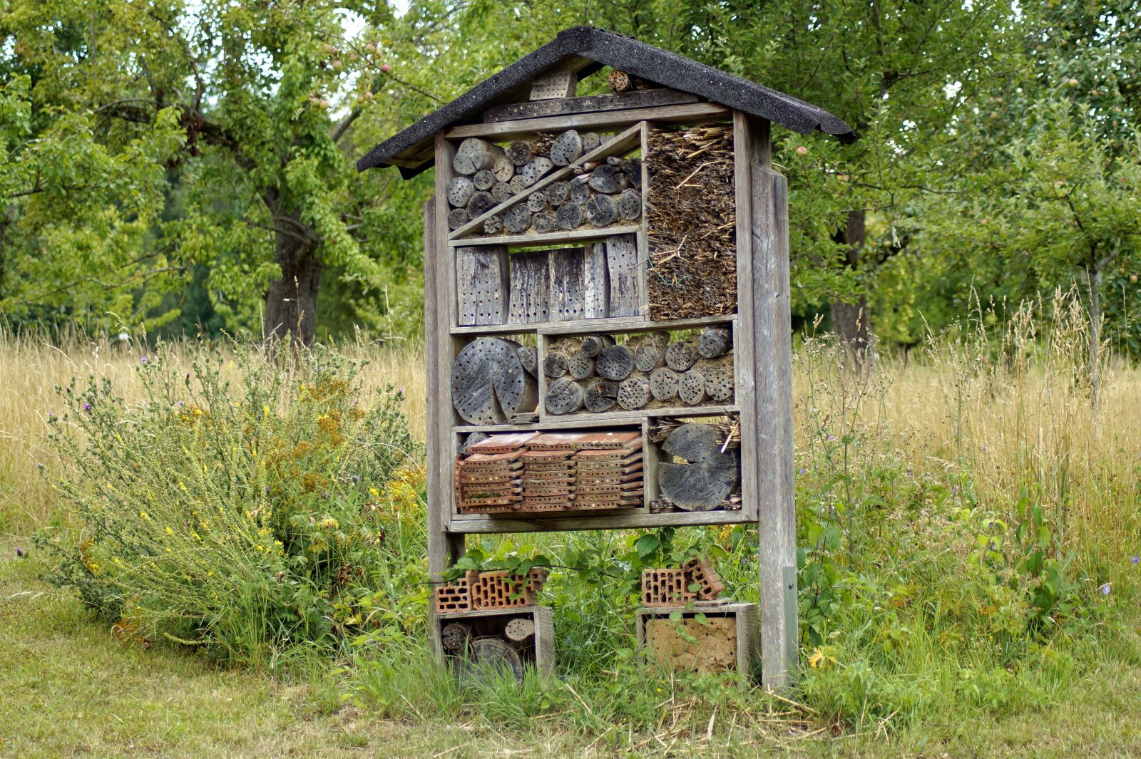 Sony SLT-A58 sample photo. Insect hotel, insect house photography