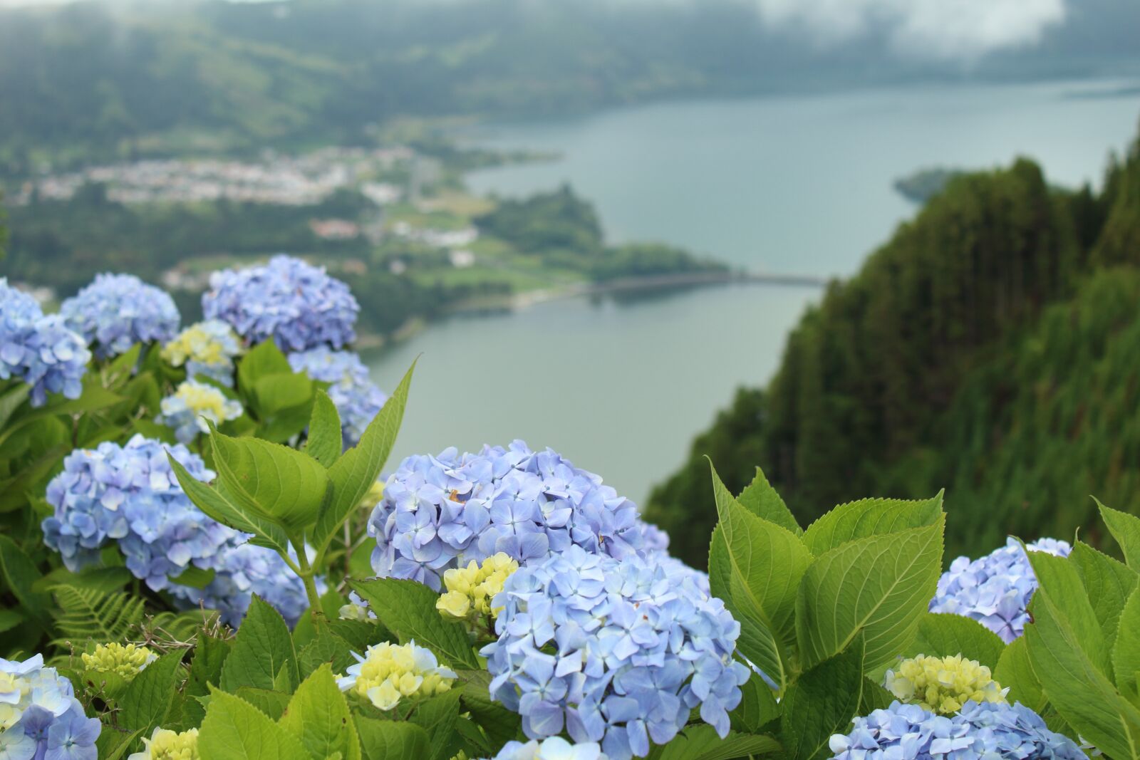 Canon EOS 1300D (EOS Rebel T6 / EOS Kiss X80) sample photo. Landscape, seven cities, summer photography