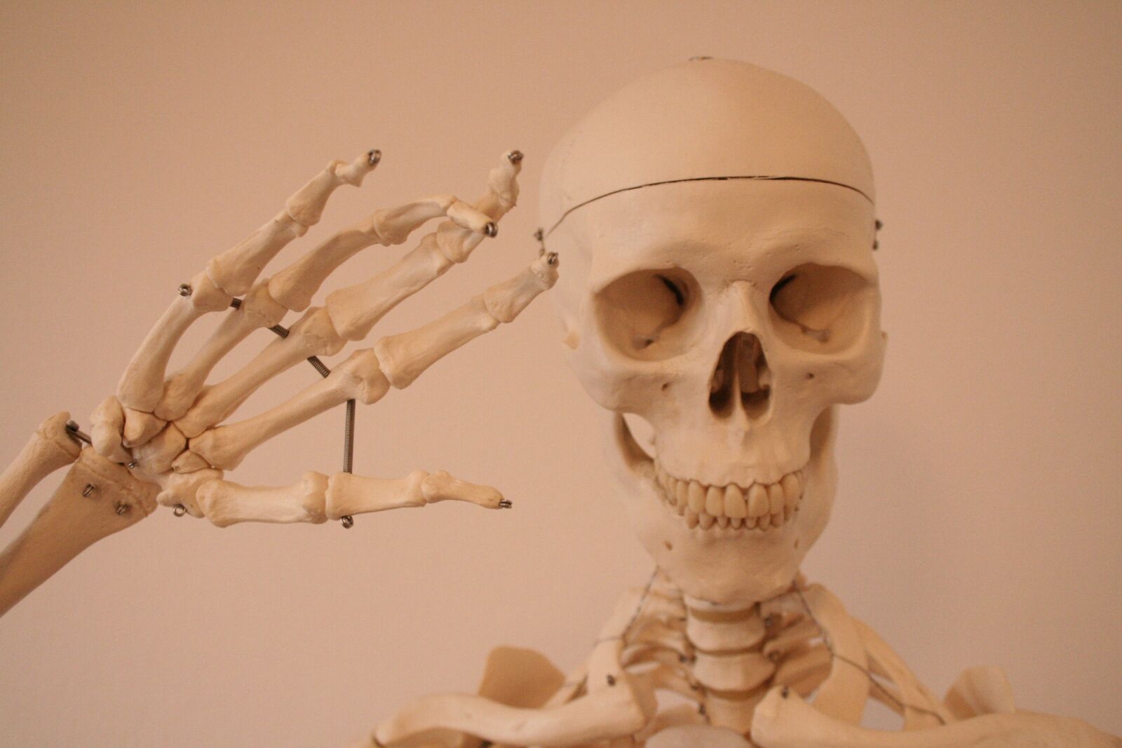 Canon EOS 350D (EOS Digital Rebel XT / EOS Kiss Digital N) sample photo. Skeleton, skull and crossbones photography