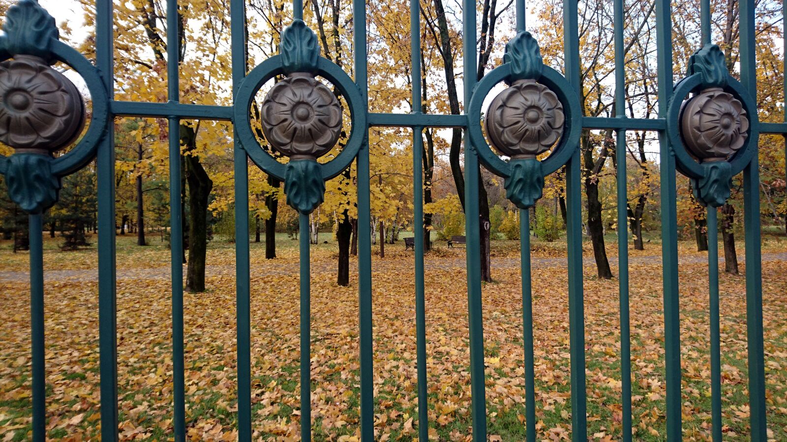 Sony Xperia Z5 Compact sample photo. Fence, iron, autumn photography