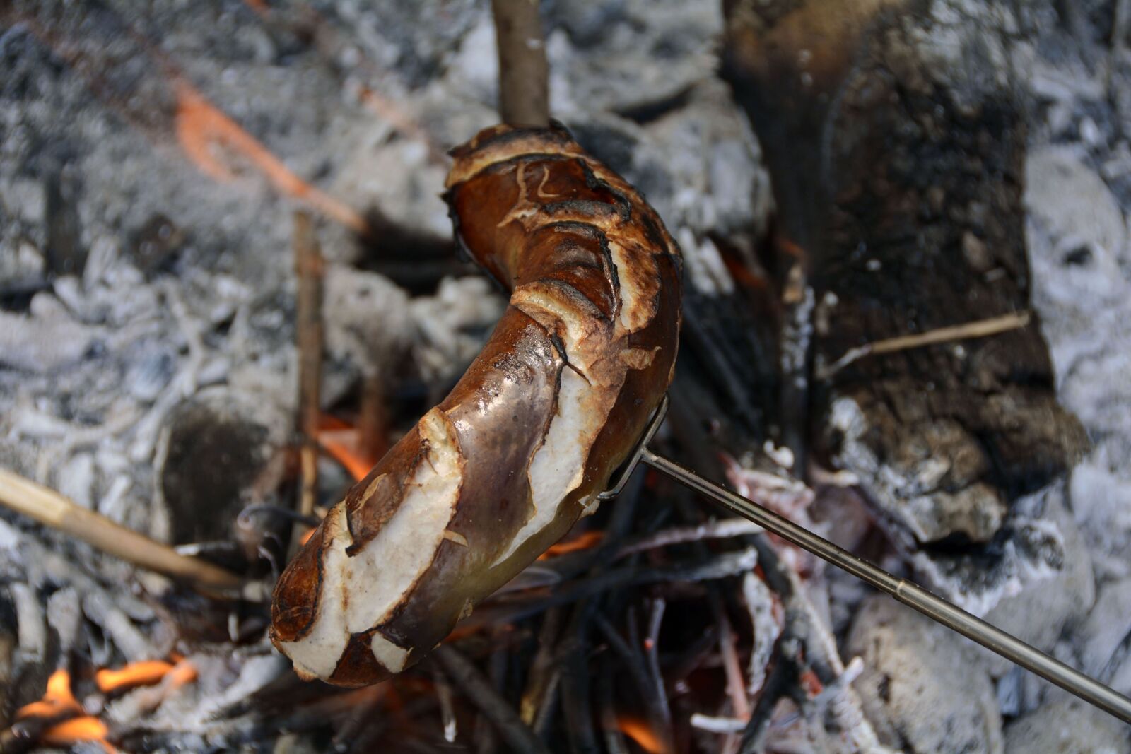 Nikon D7100 sample photo. Bratwurst, grill sausage, fry photography