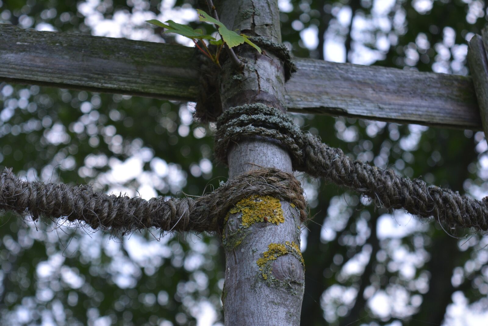 Nikon D5200 sample photo. Knitting, band, rope photography