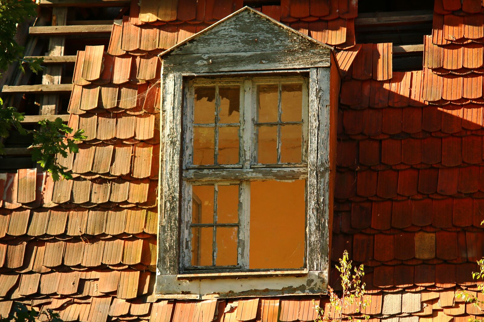 Canon EOS 70D + Canon EF-S 55-250mm F4-5.6 IS sample photo. Lost places, window, forget photography