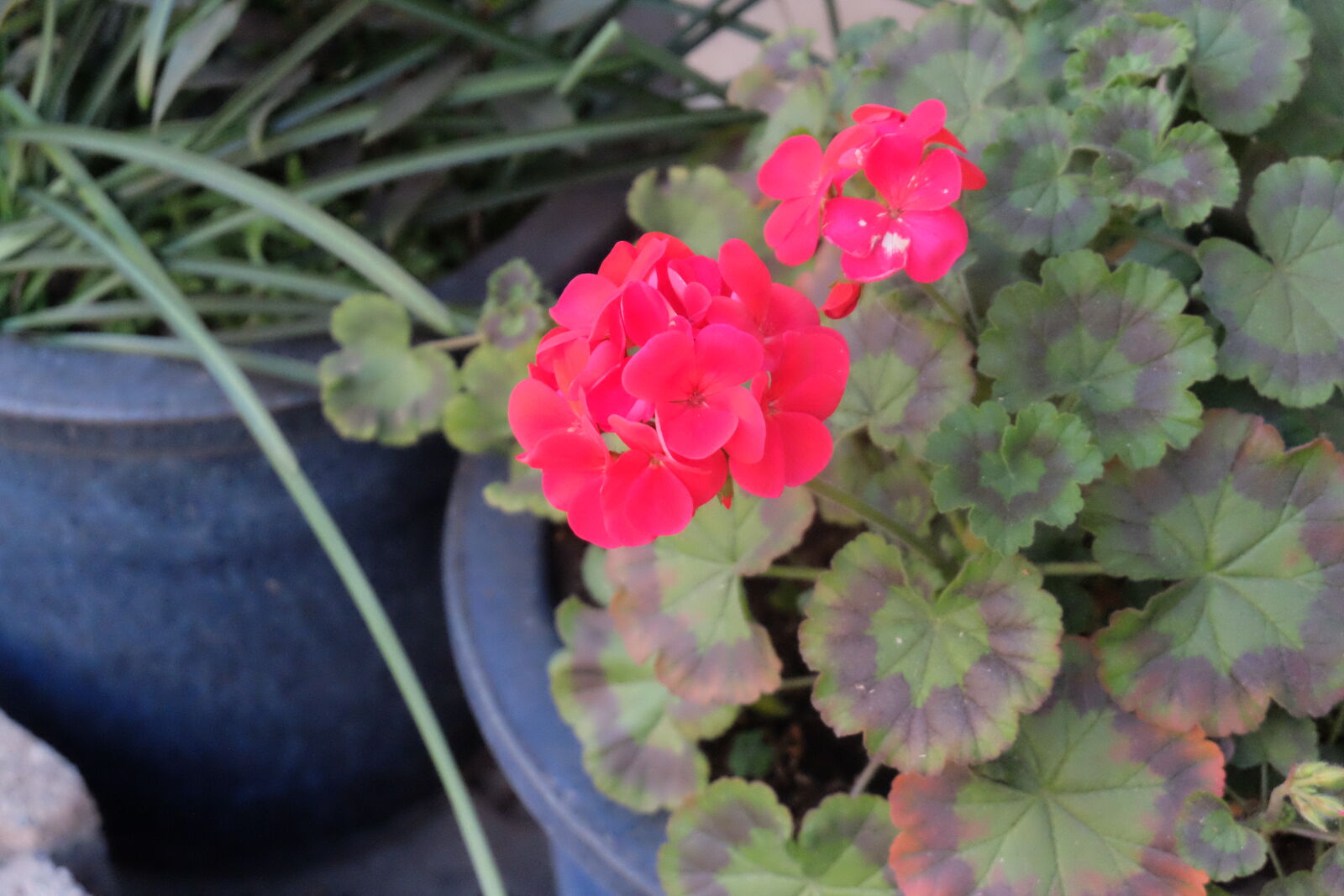 Fujifilm X-M1 sample photo
