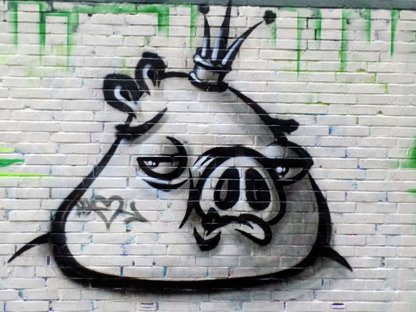 Nikon COOLPIX L340 sample photo. Graffiti, art, pig photography