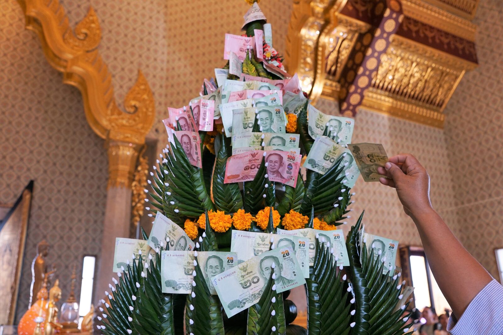 Sony ILCA-77M2 + Sony DT 16-50mm F2.8 SSM sample photo. Human, ornament, celebration photography