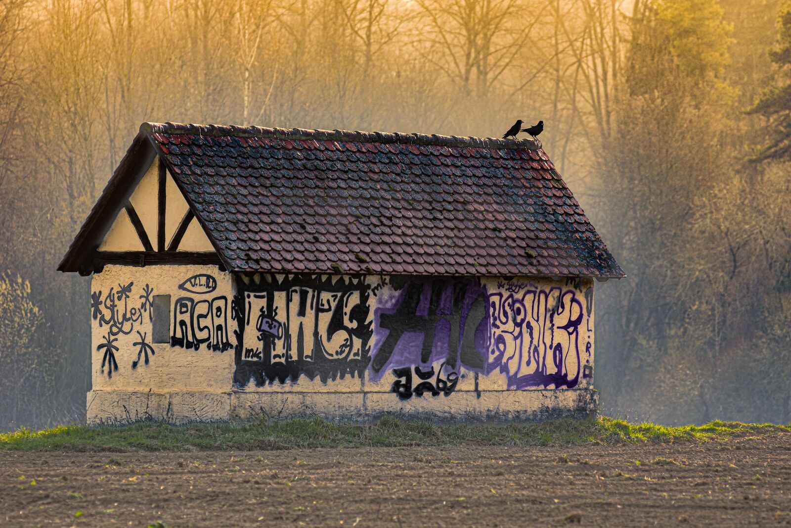 Nikon D7200 sample photo. House, dig, raven photography