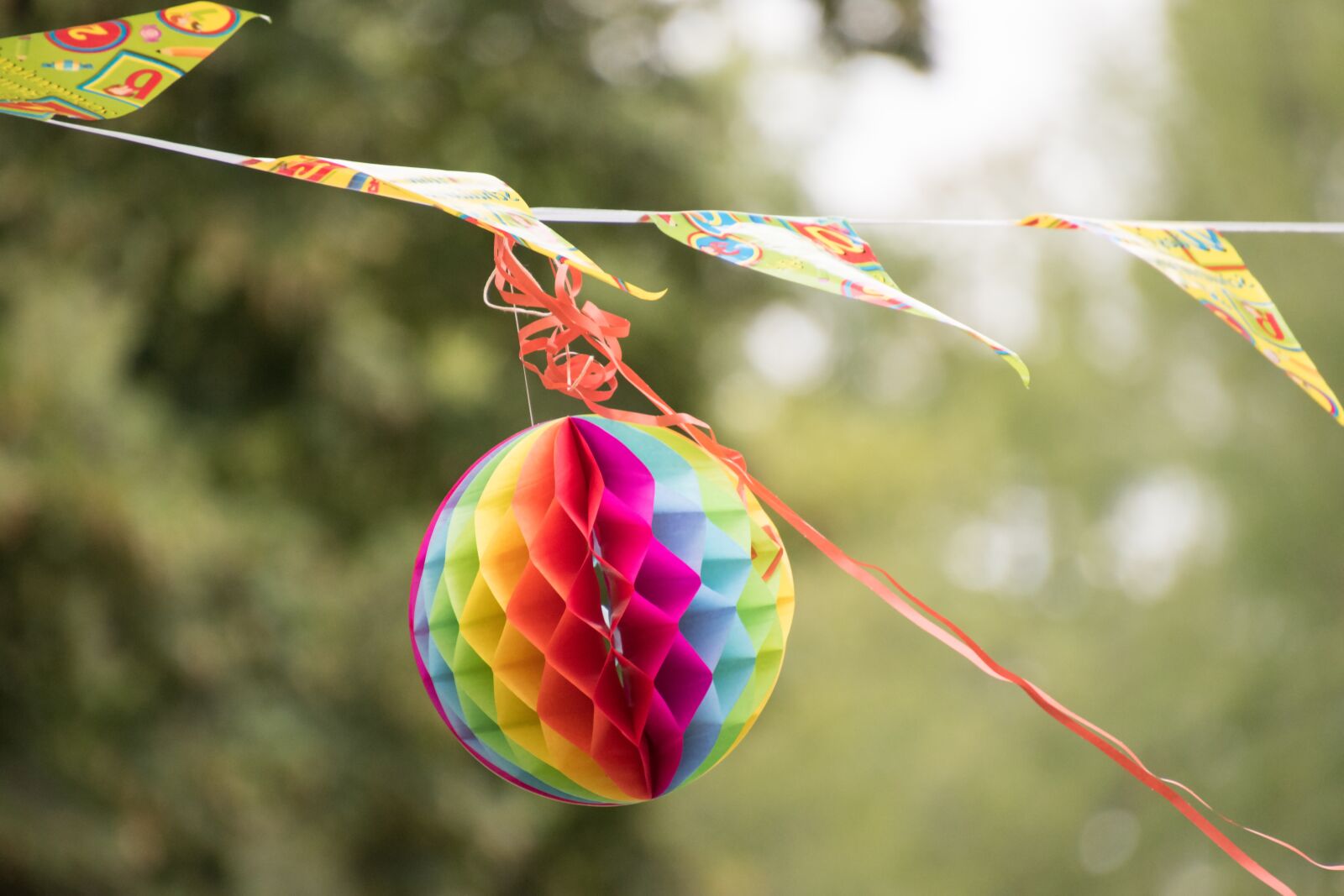 Nikon D5600 sample photo. Lampignon, cord, flags photography