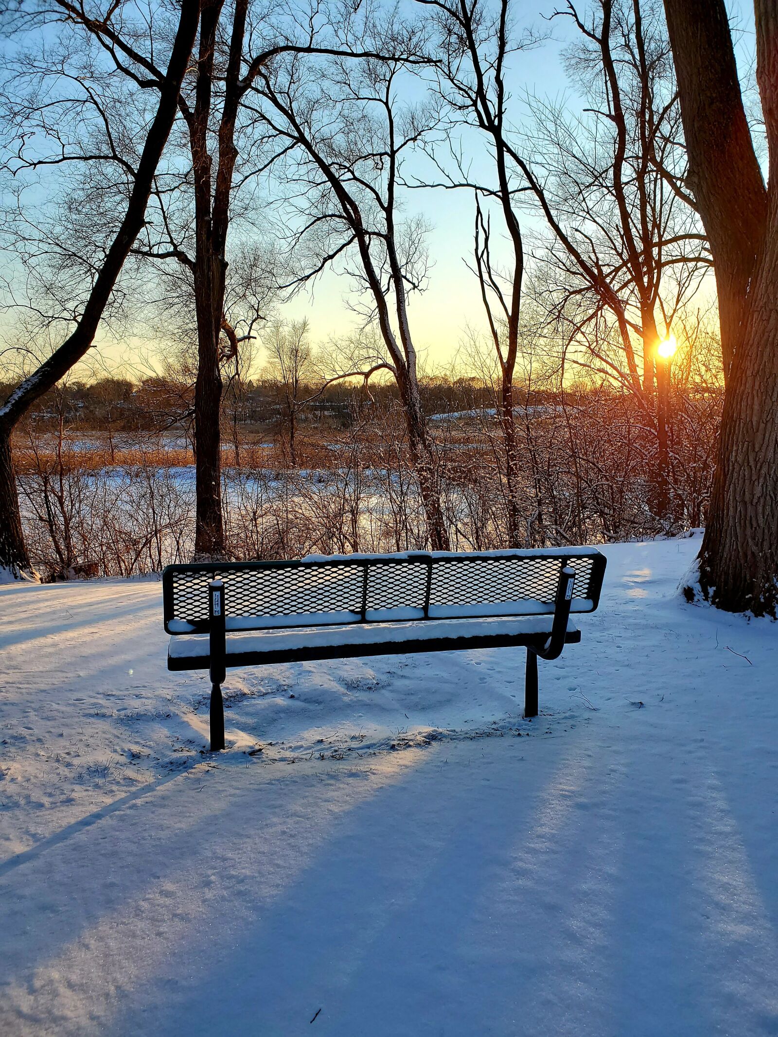 Samsung Galaxy S10e sample photo. Winter, bench, solitude photography