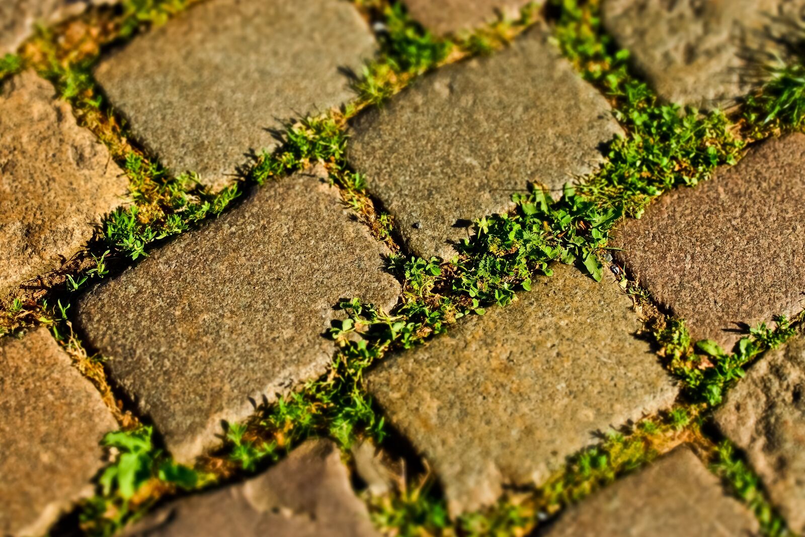 Olympus OM-D E-M10 sample photo. Cobblestone, patch, road photography