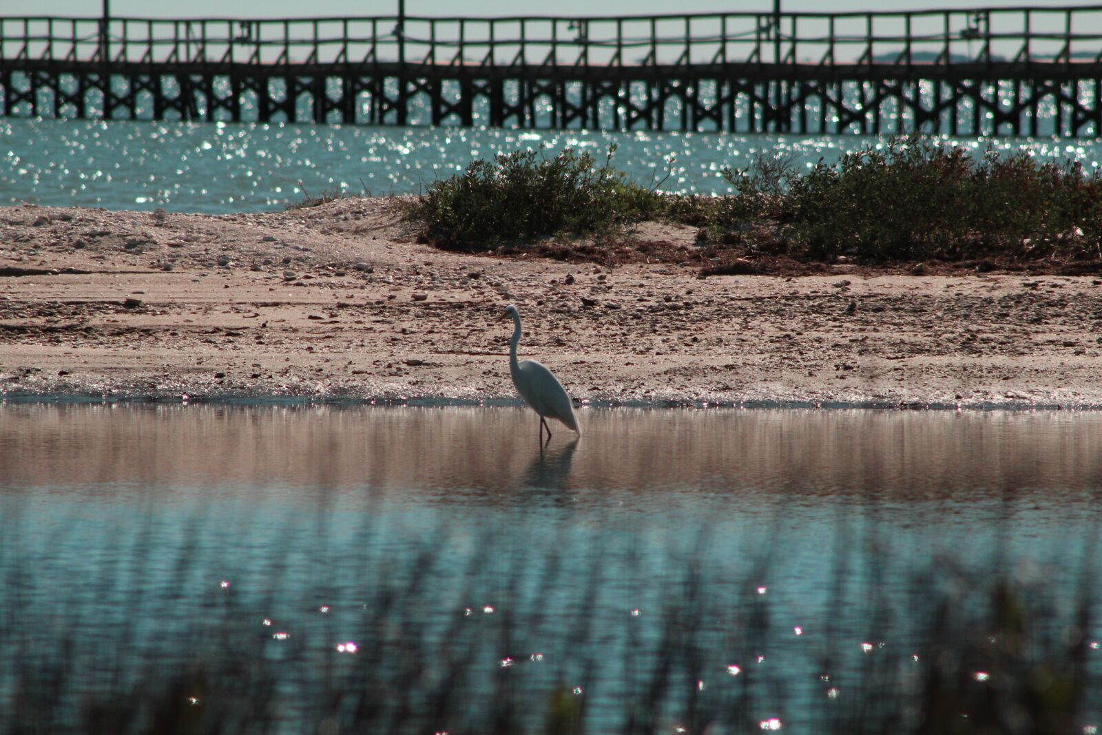 Canon EF 75-300mm f/4-5.6 sample photo. Gulf, bend, bay photography
