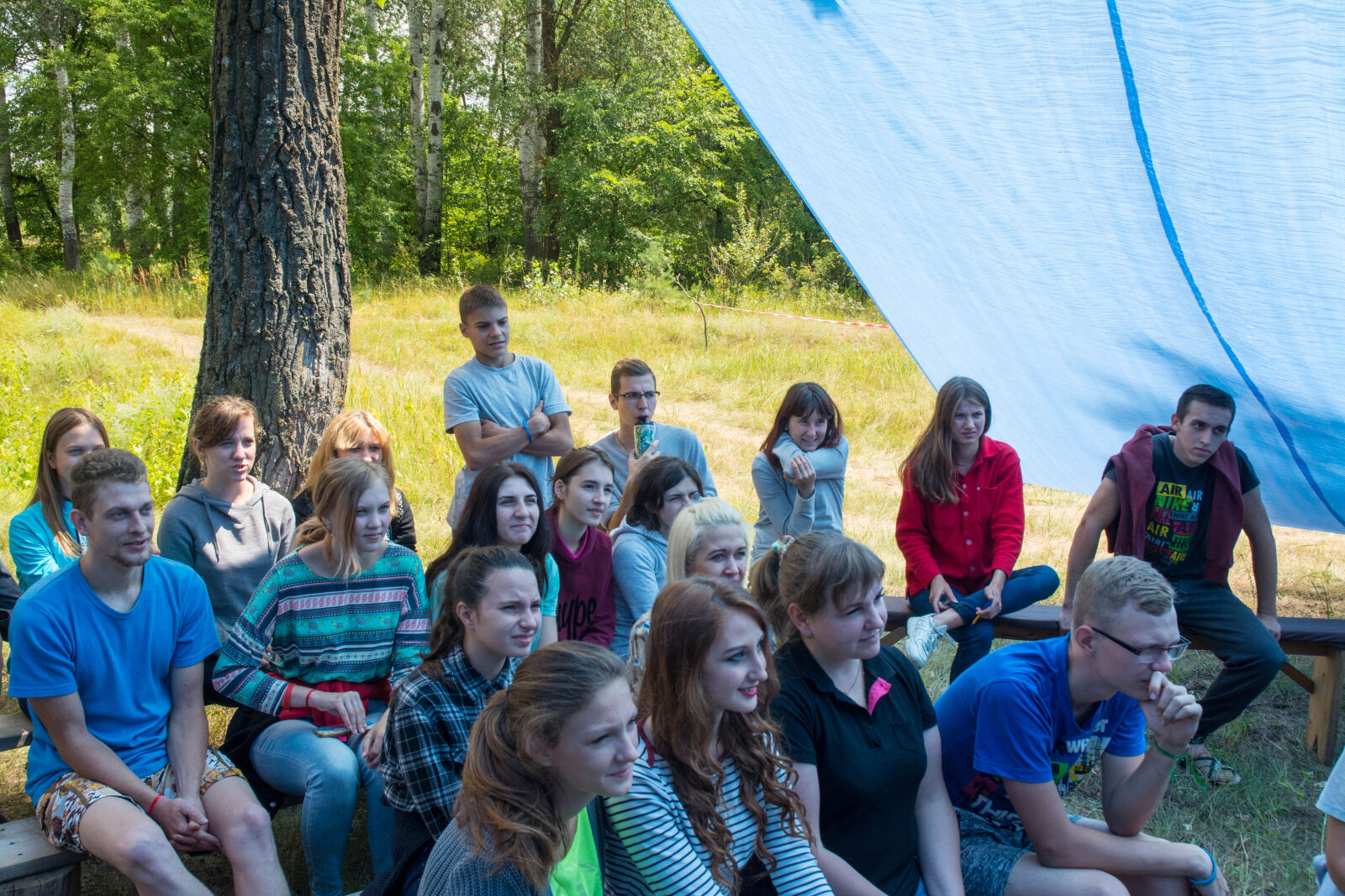 Nikon D7100 sample photo. Camp, dip, forest, pine photography