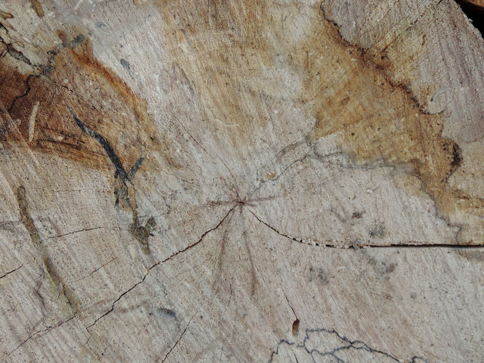 Nikon Coolpix P520 sample photo. Firewood, rough, texture, old photography