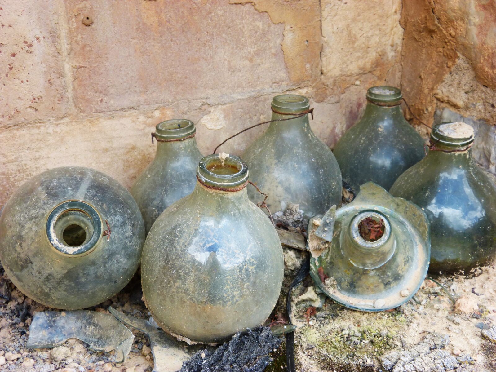 Panasonic DMC-FZ62 sample photo. Bottles, traps for mosquitoes photography