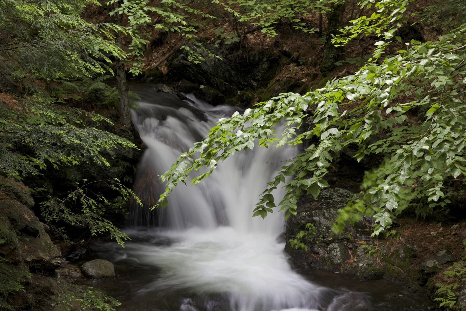 Canon EF 24-105mm F3.5-5.6 IS STM sample photo. Stream, waterfall photography