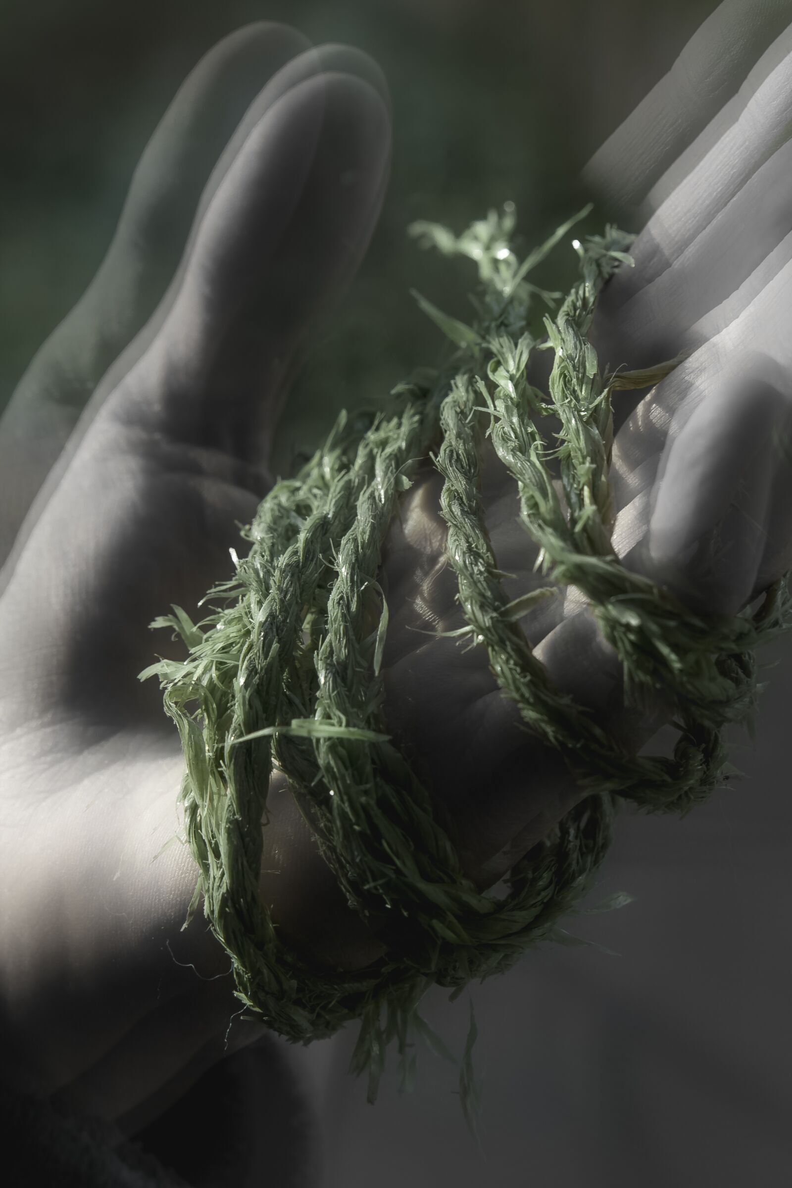 Canon EOS 550D (EOS Rebel T2i / EOS Kiss X4) sample photo. Green, string, hand photography