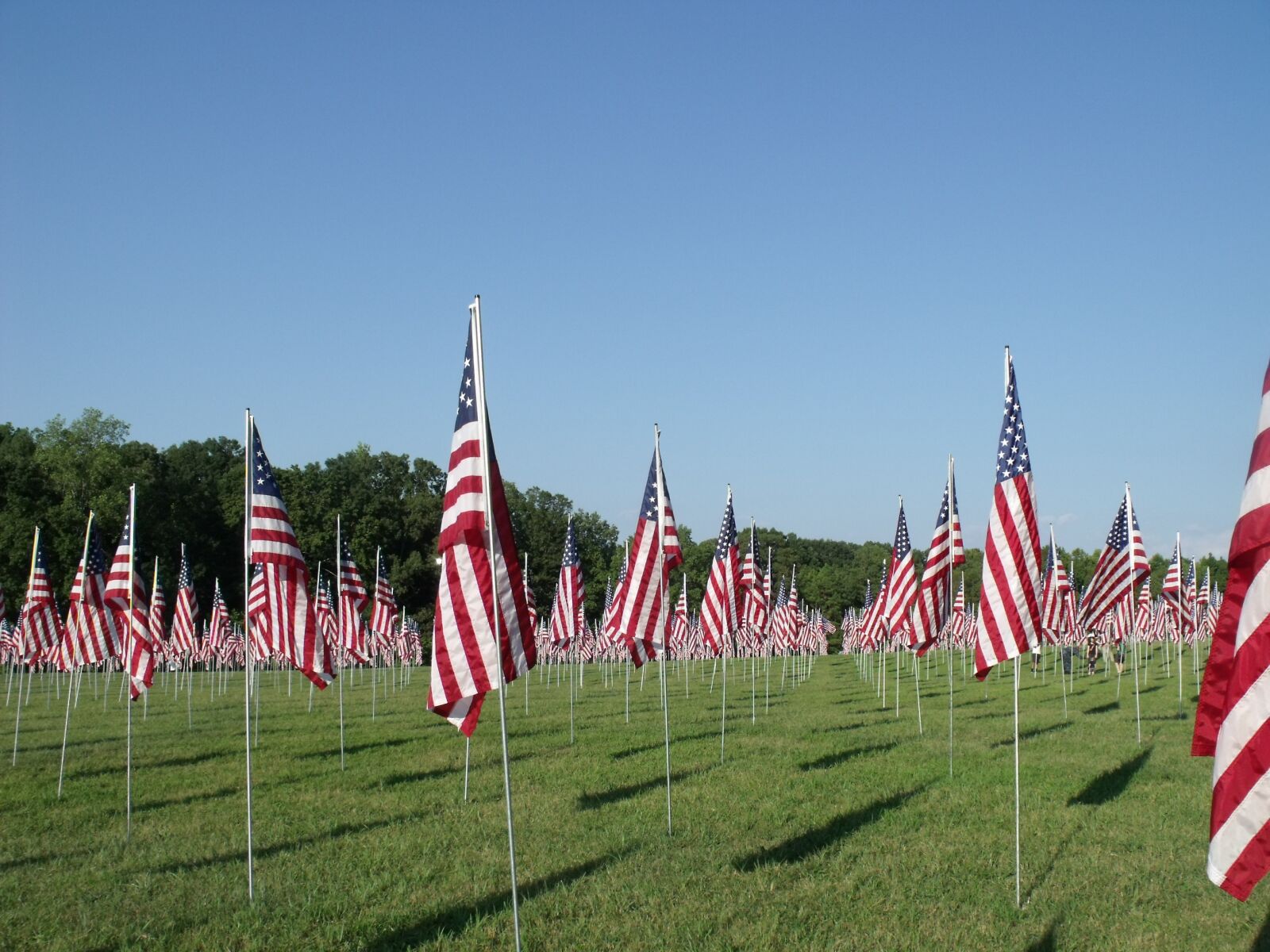 Fujifilm FinePix S1500 sample photo. Memorial, flags, patriotism photography