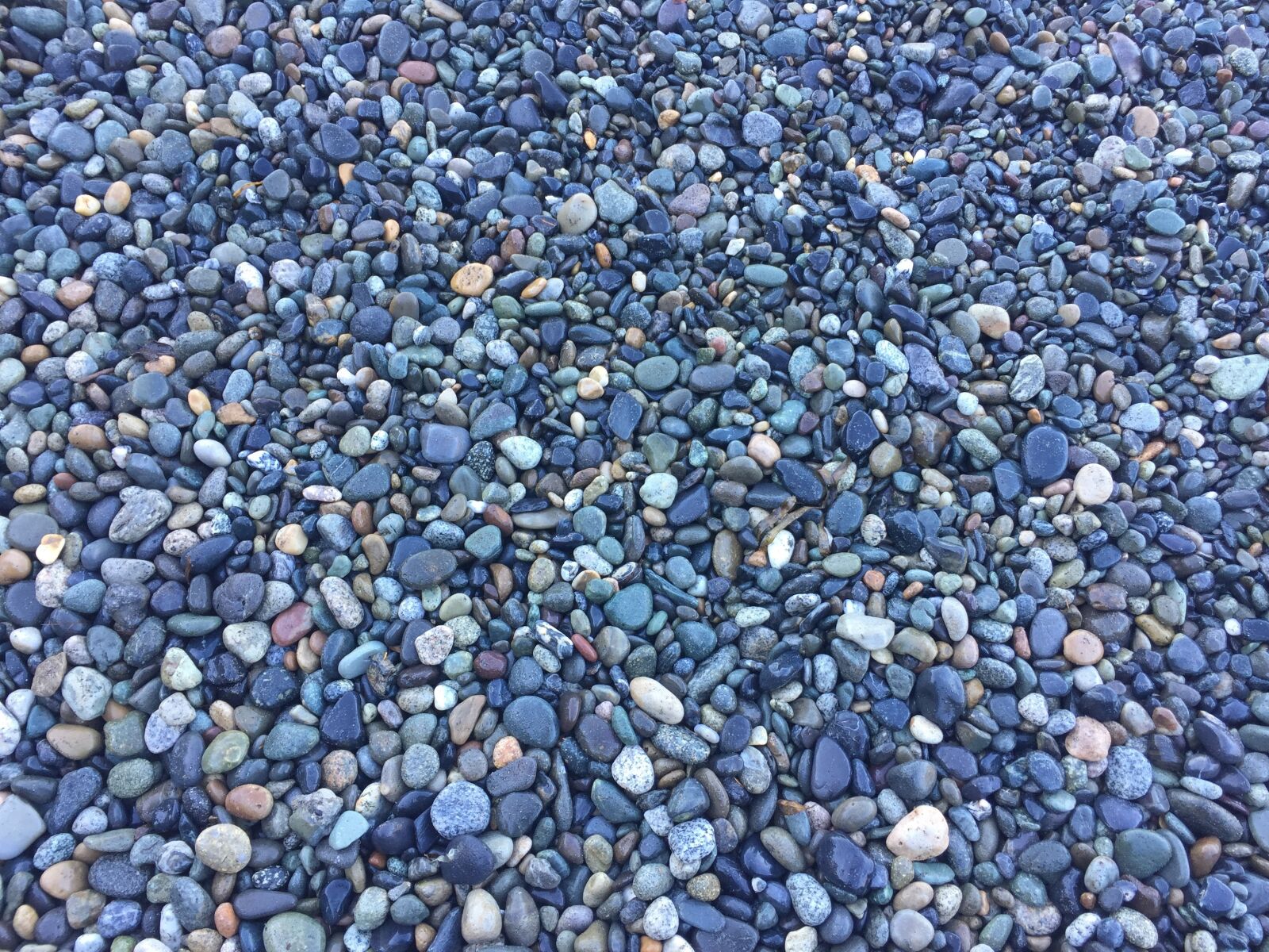 iPhone 6 back camera 4.15mm f/2.2 sample photo. Pebbles, beach, rocks photography