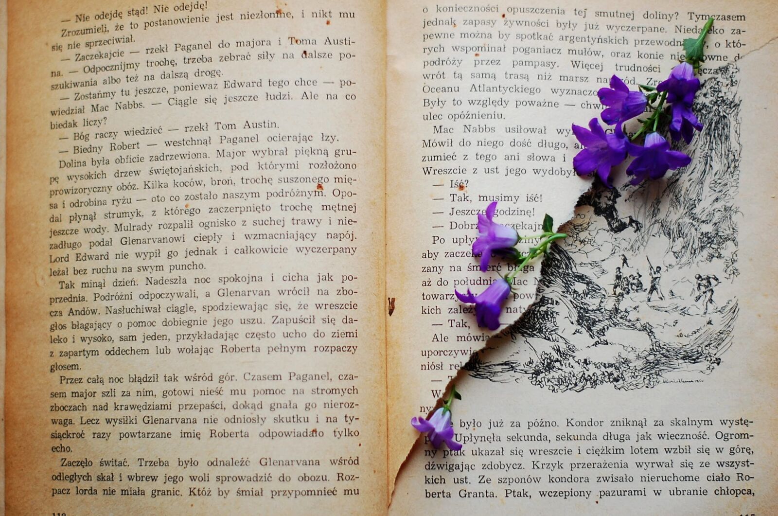 Nikon D40 sample photo. Book, old book, flower photography
