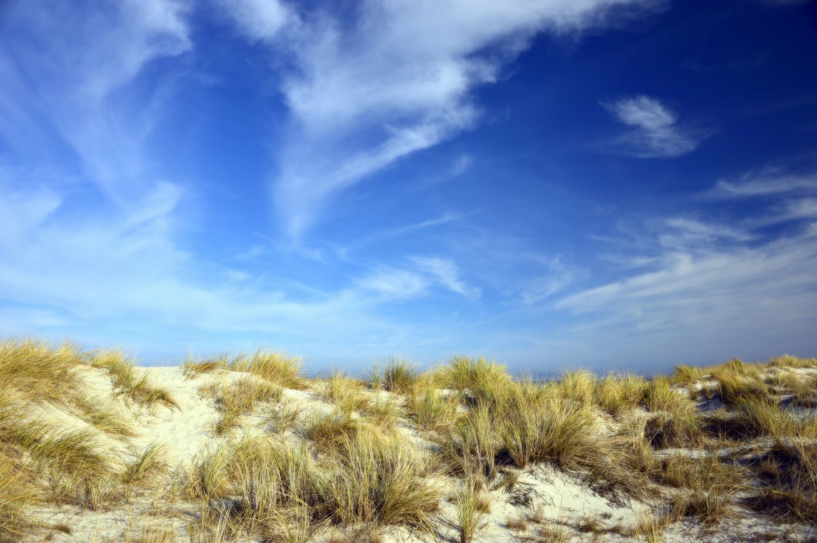 Nikon D3200 sample photo. Dunes, dune landscape, marram photography