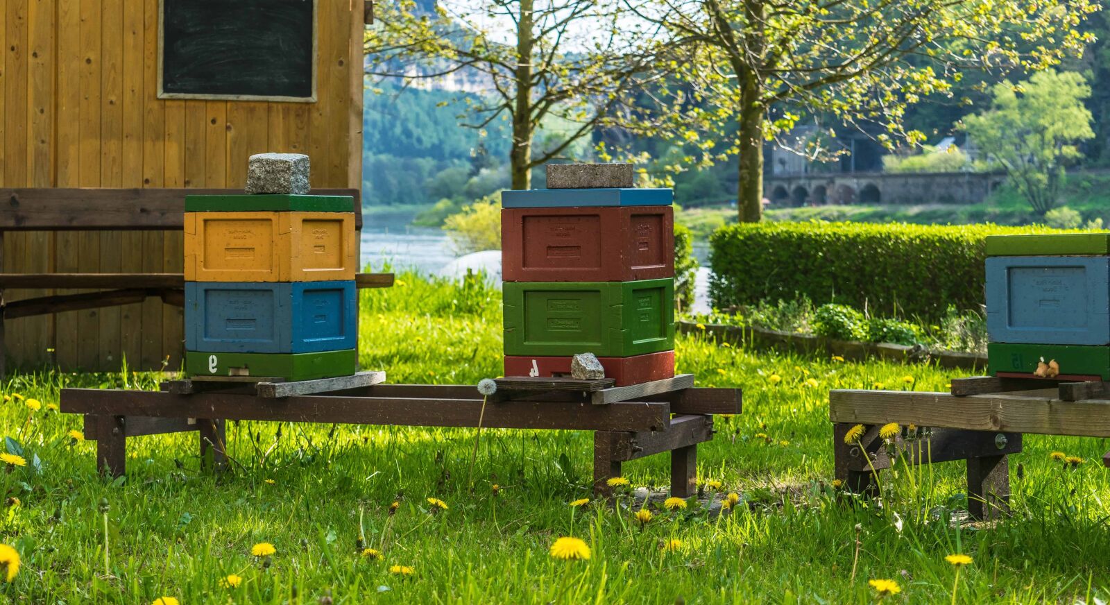 Nikon D3300 sample photo. Summer, beehive, nature, wood photography