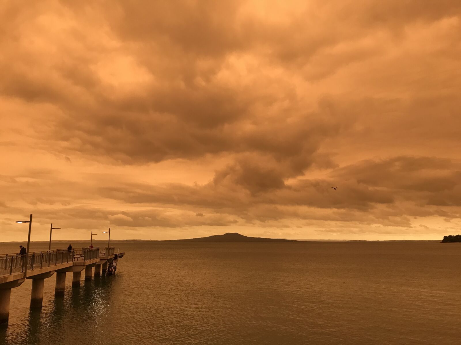 iPhone 7 back camera 3.99mm f/1.8 sample photo. Bushfire smoke, orange sky photography