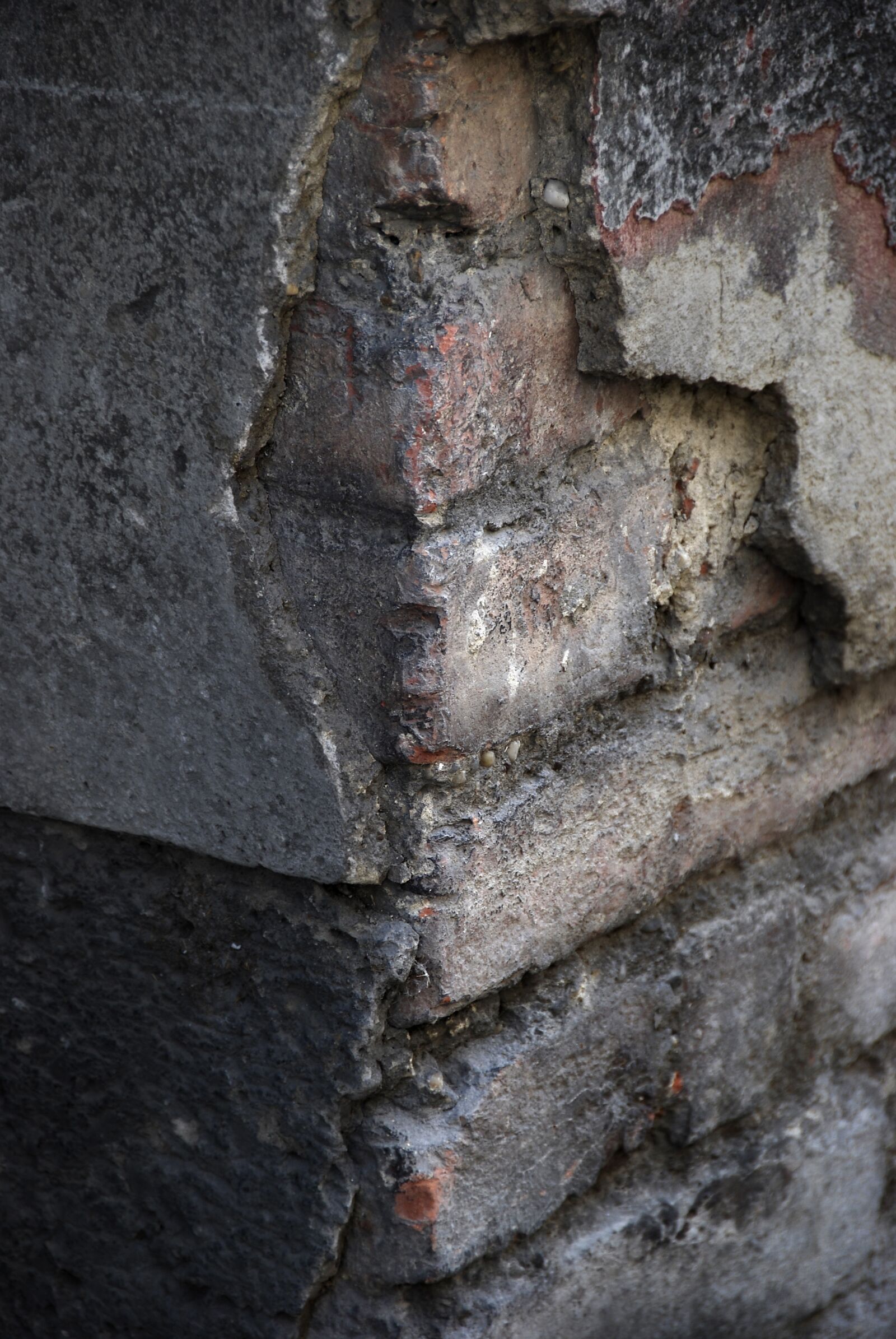 Nikon D80 sample photo. Background, wall, grey photography