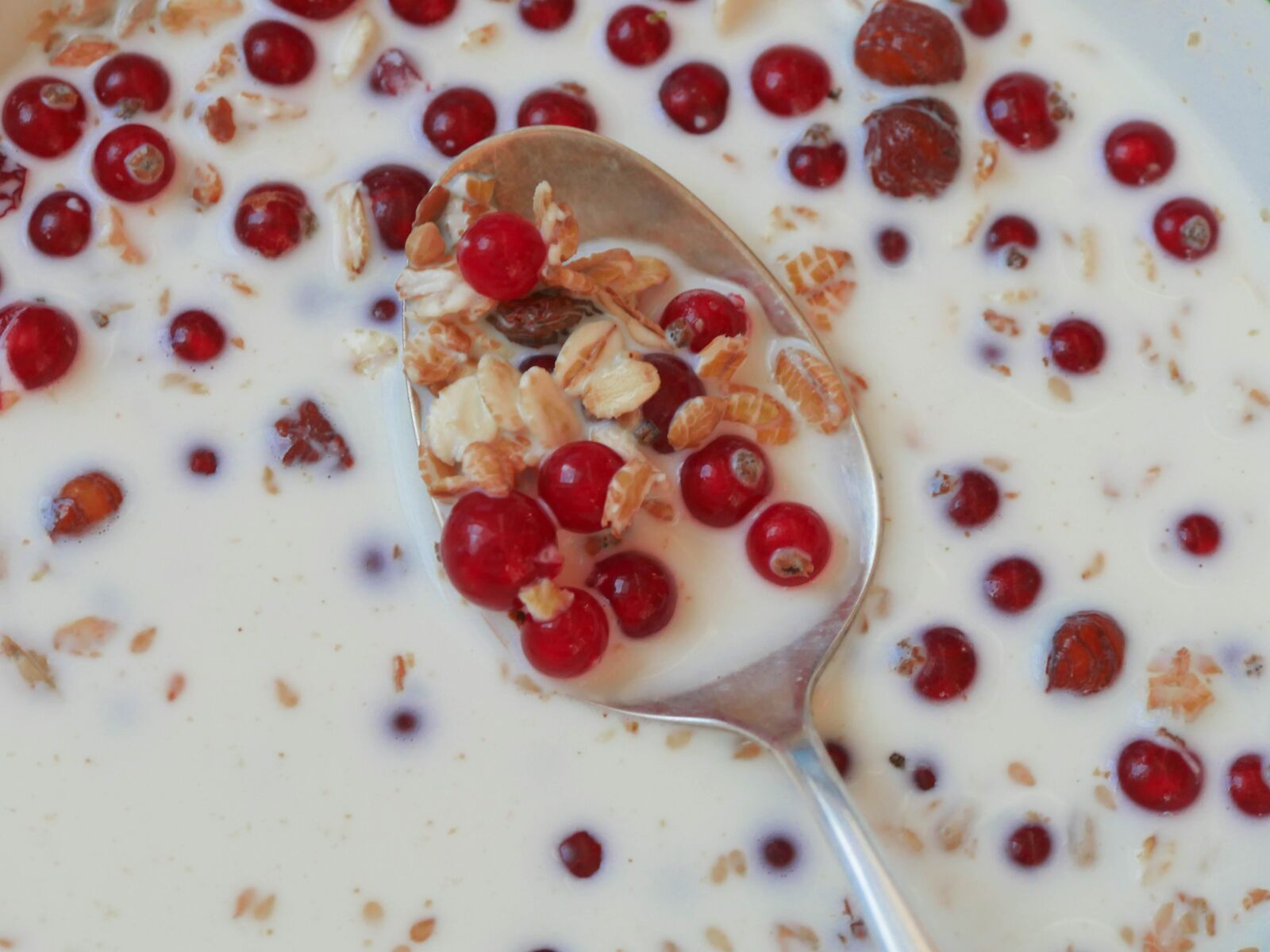 Panasonic Lumix DMC-GX8 sample photo. Breakfast, muesli, currants photography