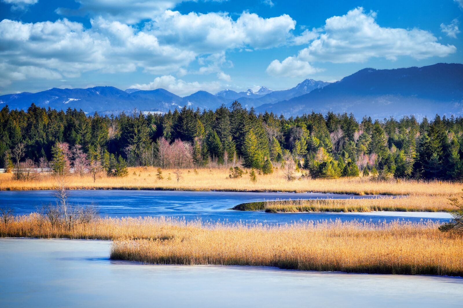 Panasonic Lumix DMC-GX8 sample photo. Lake, reed, mountains photography