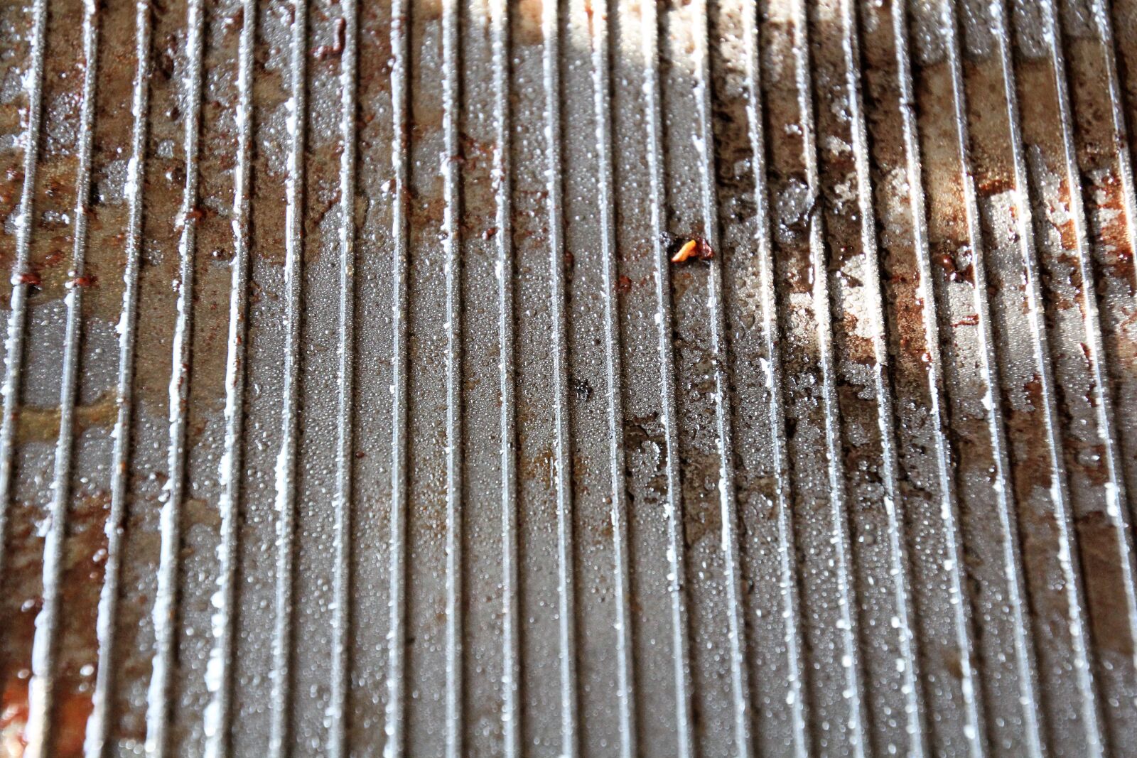 Canon EOS 60D sample photo. Grill, raclett, grilled photography