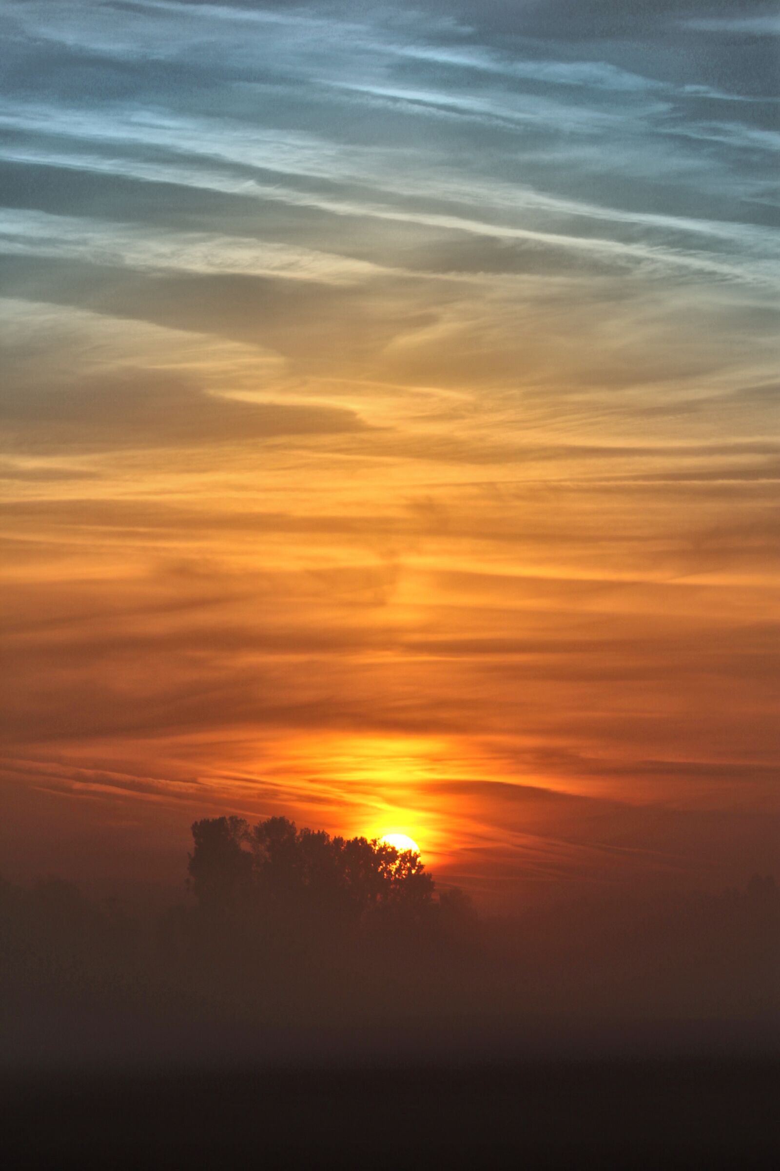 Canon EOS 7D sample photo. Sunrise, autumn, fog photography