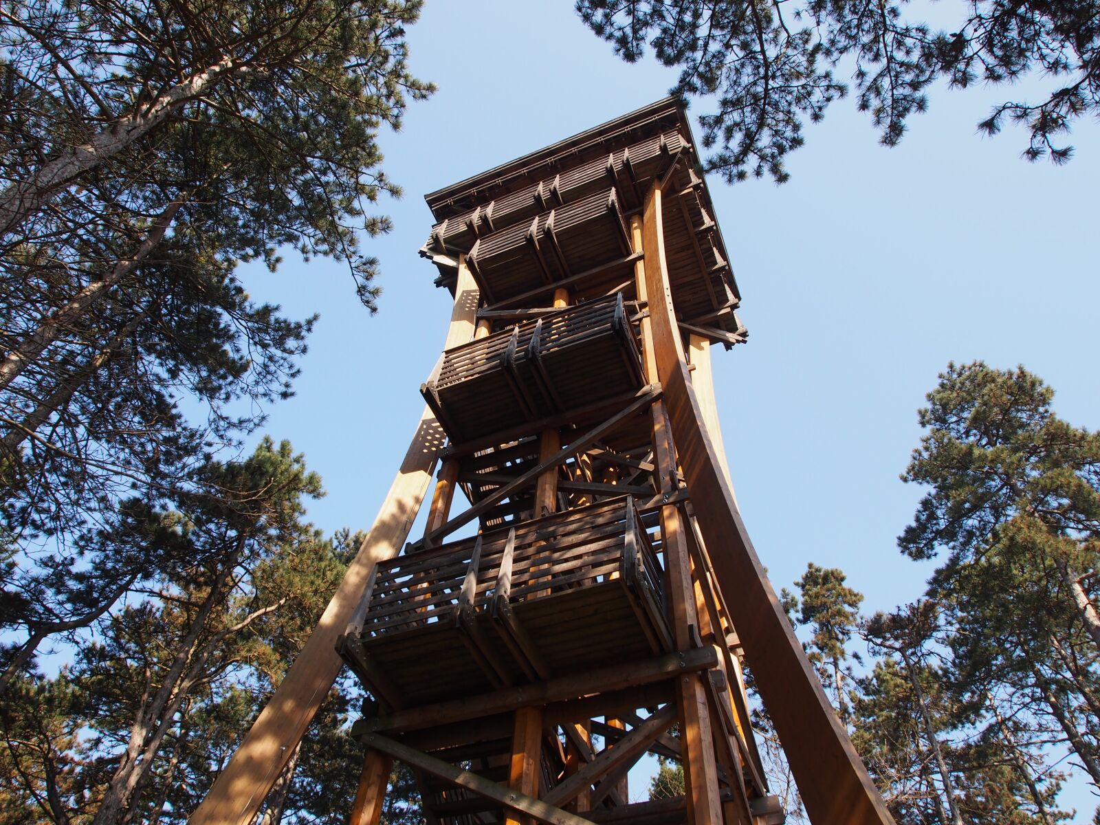 OLYMPUS M.12-50mm F3.5-6.3 sample photo. Tower, observation tower, architecture photography