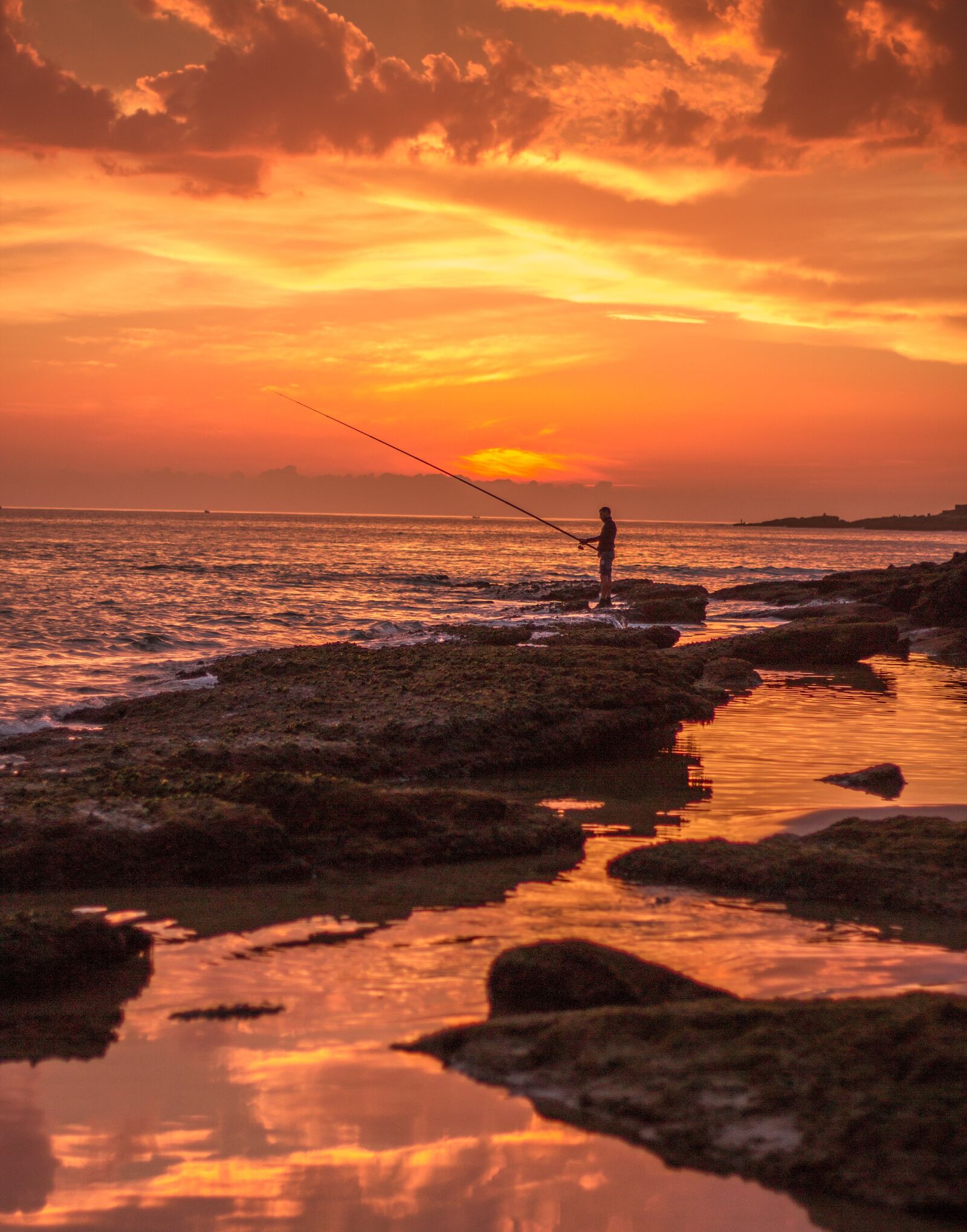 Canon EOS 600D (Rebel EOS T3i / EOS Kiss X5) + Canon EF 50mm F1.8 STM sample photo. Agadir, morocco, hunting photography