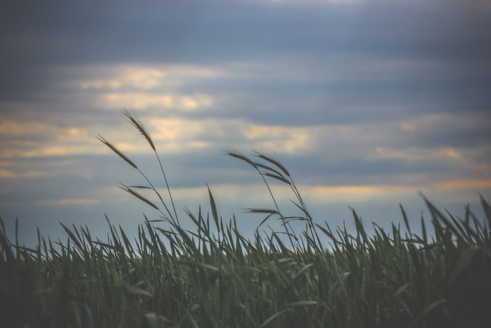 Canon EF75-300mm f/4-5.6 sample photo. Sunset, nature, landscape photography
