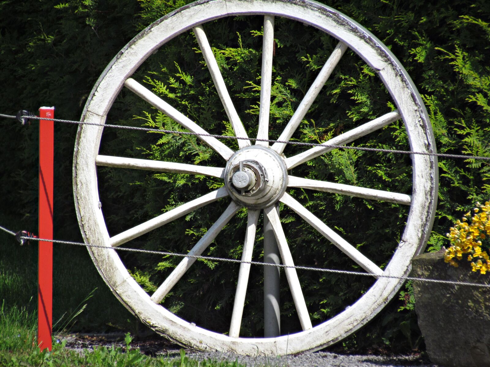 Canon PowerShot SX30 IS sample photo. Wheel, car, wooden photography