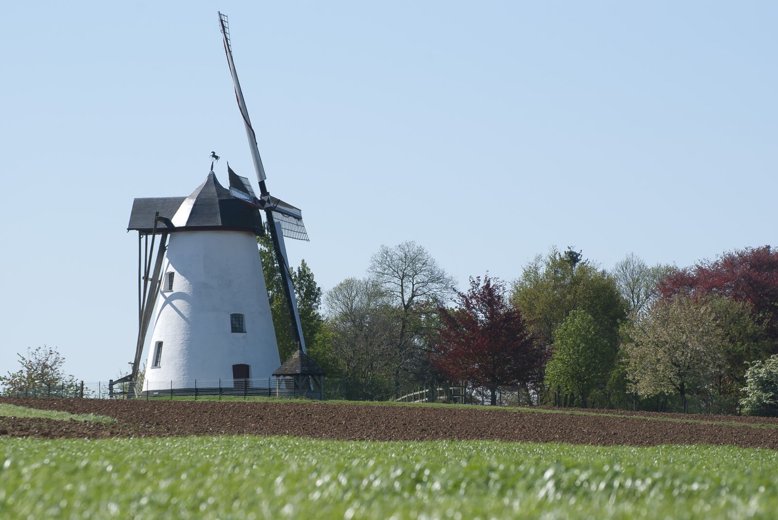 Nikon D80 sample photo. Building, windmill, architecture photography