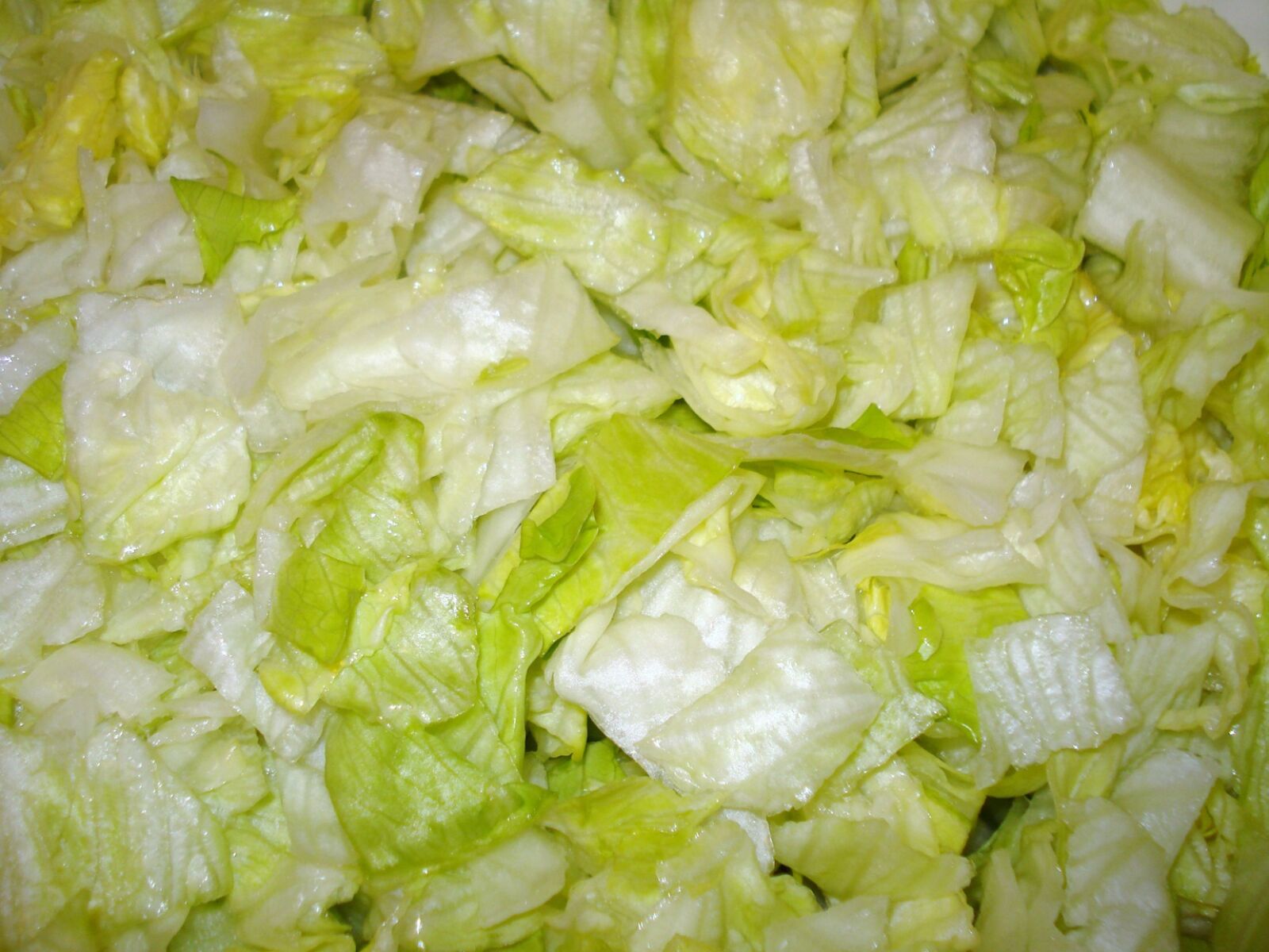 Sony DSC-W55 sample photo. Iceberg lettuce, salad, head photography