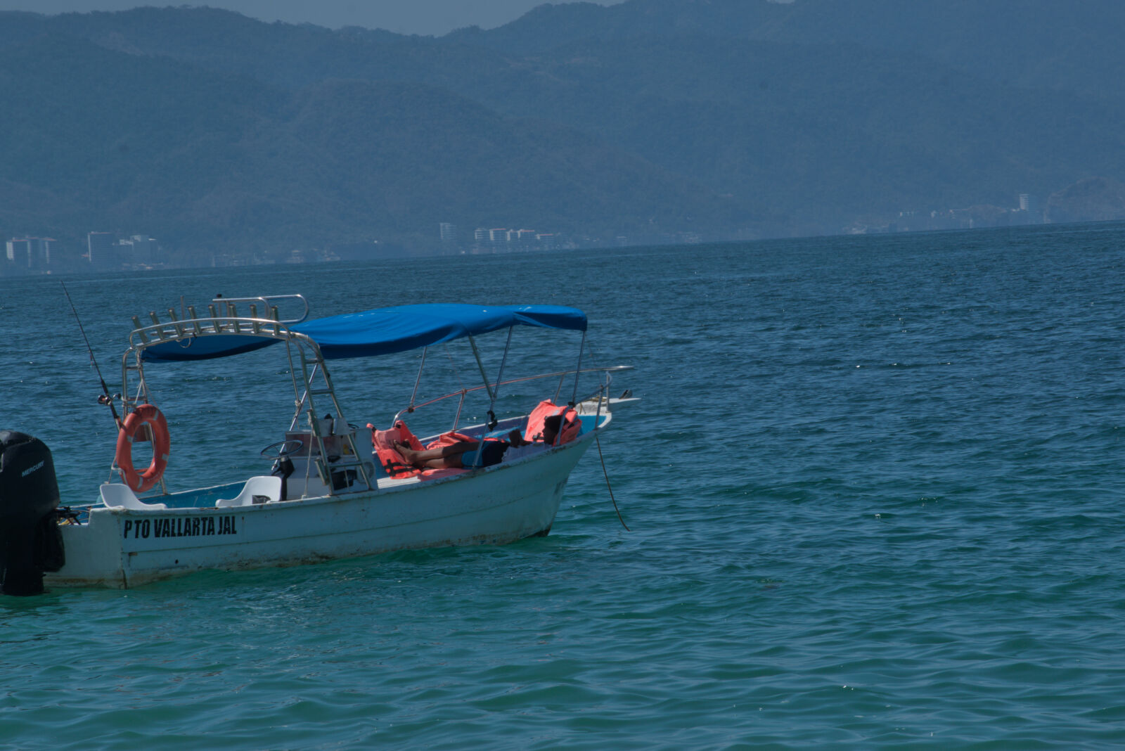 Nikon D5300 sample photo