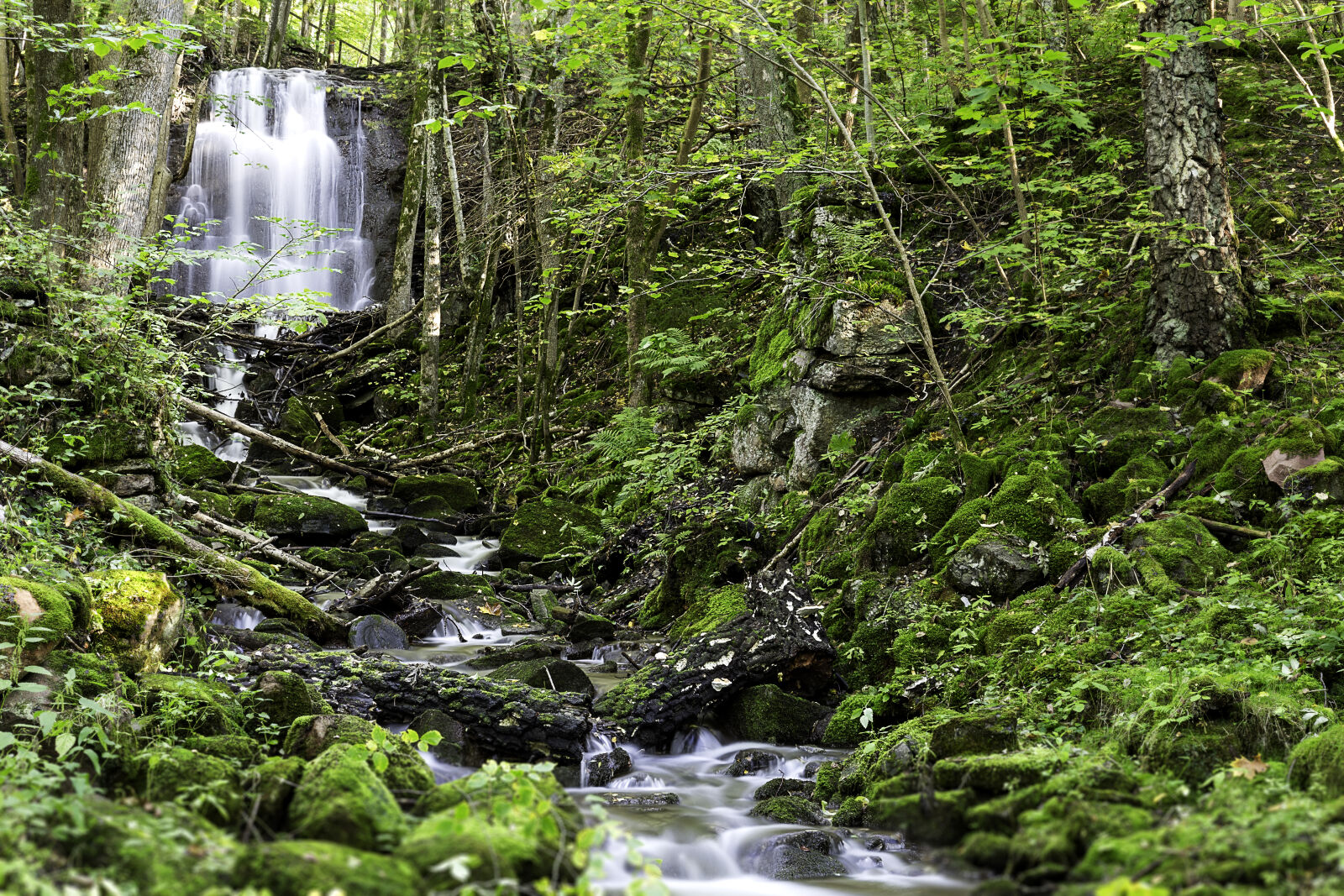 Canon EF 24-105mm F4L IS USM sample photo. Cascade, creek, environment, flow photography