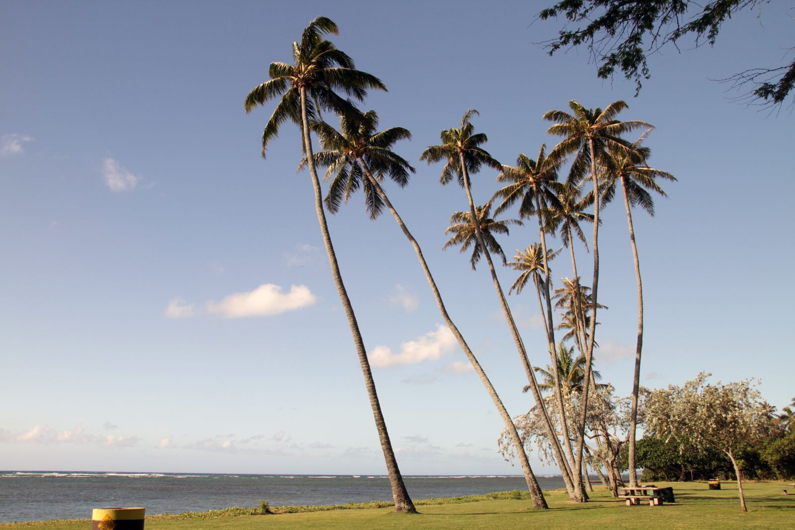 Canon EOS 7D sample photo. Palms, beach, island photography